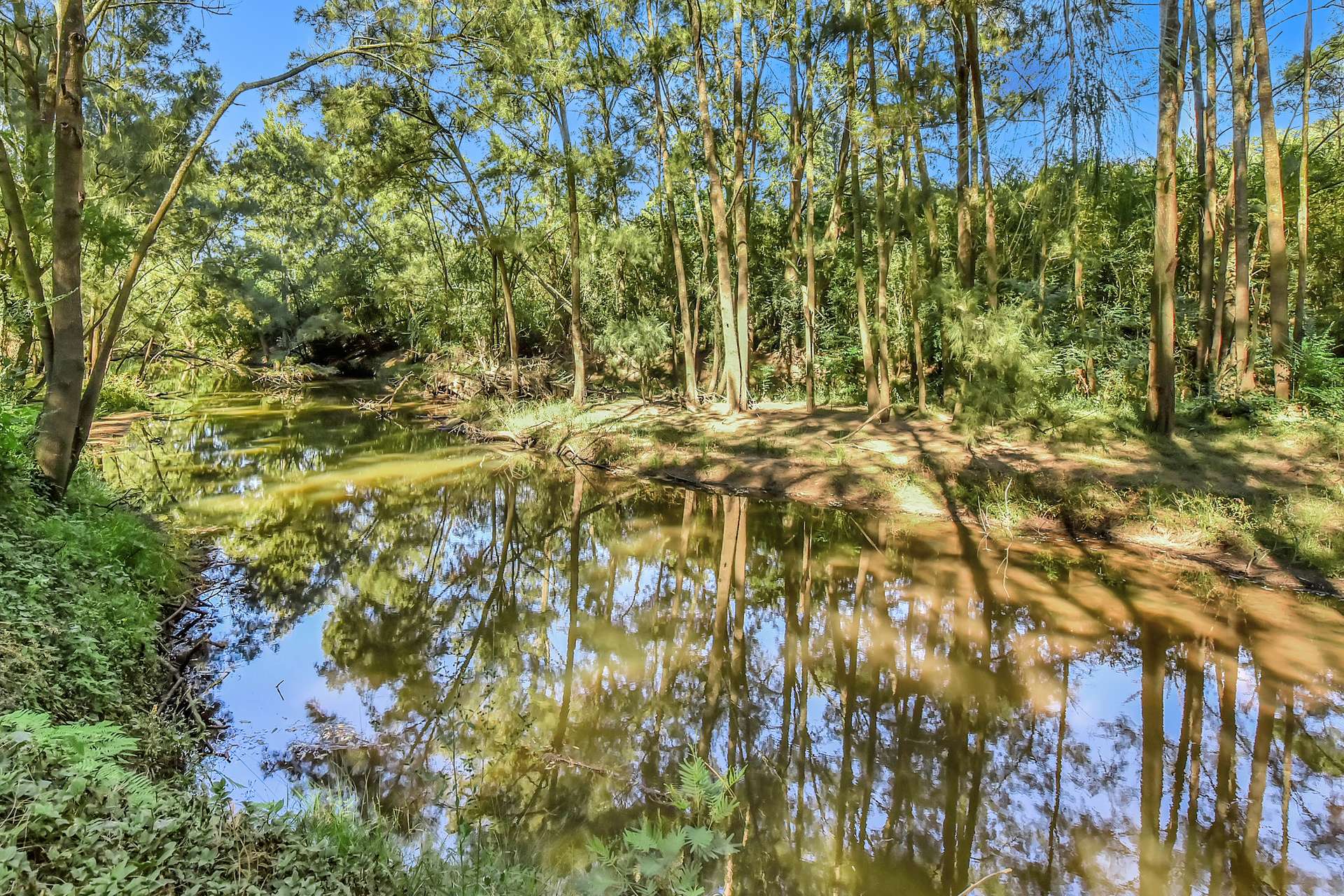 2882 Paynes Crossing Road, Wollombi For Sale by Farmbuy.com - image 30