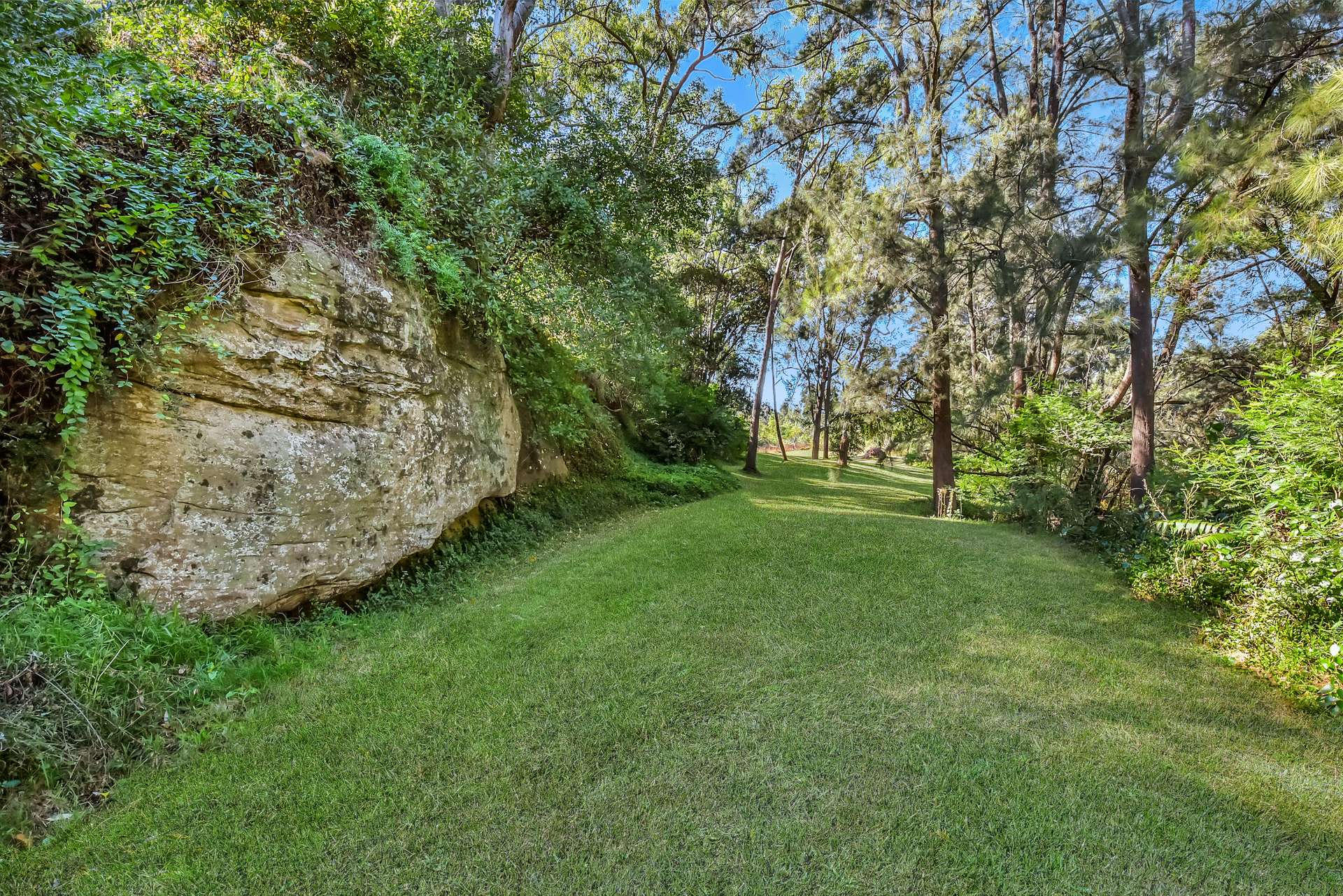 2882 Paynes Crossing Road, Wollombi For Sale by Farmbuy.com - image 29