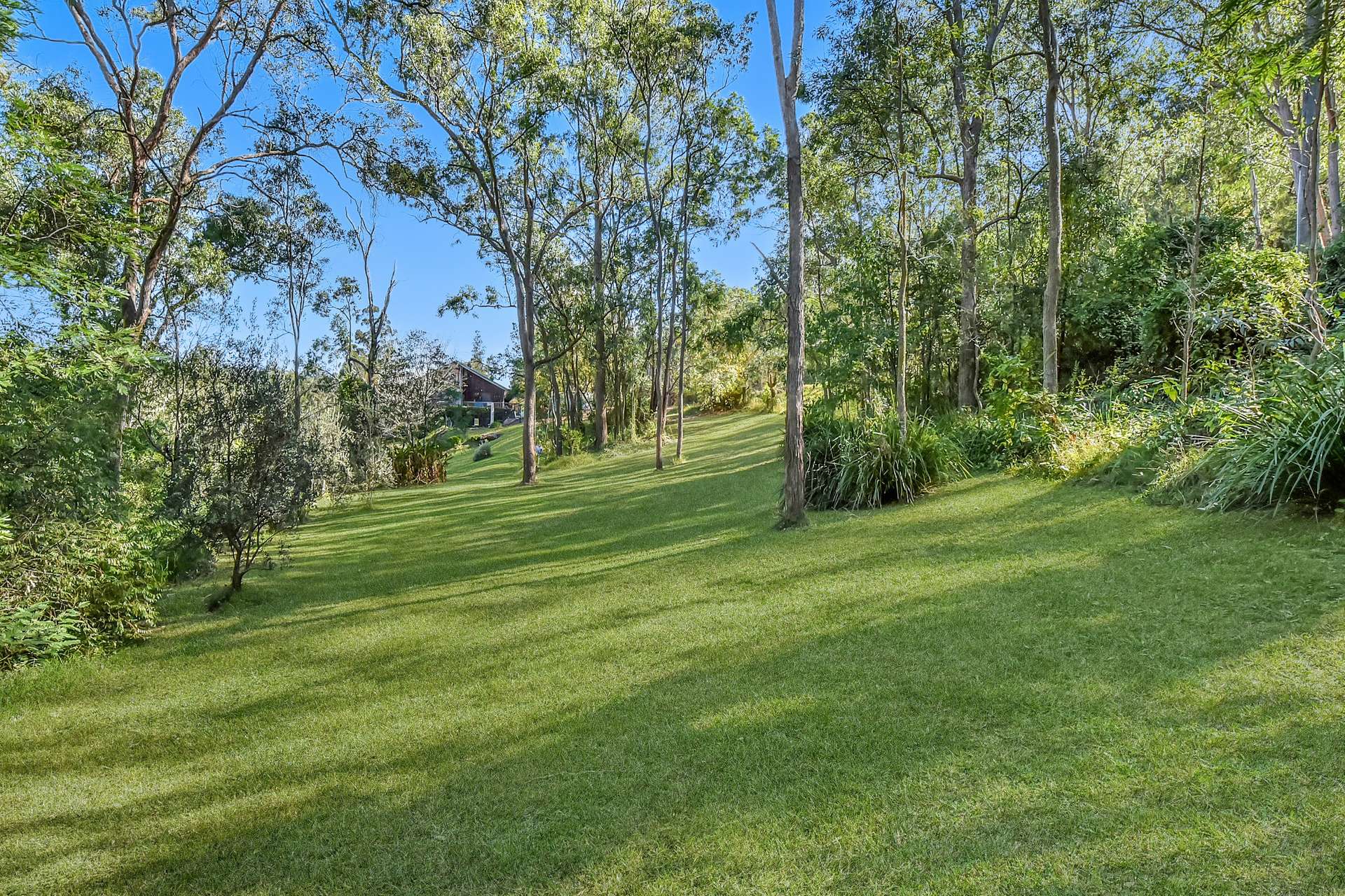 2882 Paynes Crossing Road, Wollombi For Sale by Farmbuy.com - image 27