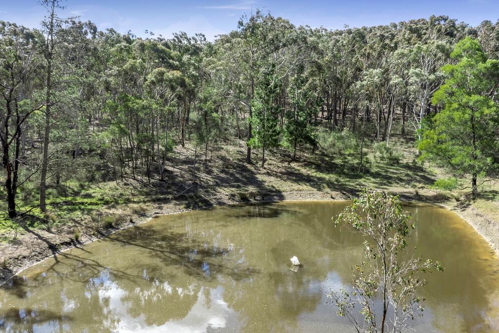 378 Carrick Road, Carrick NSW 2580