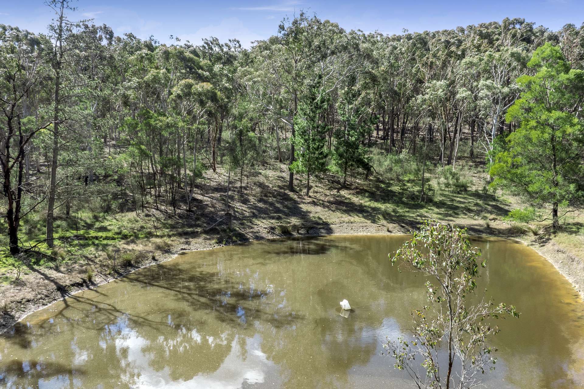 378 Carrick Road, Carrick For Sale by Farmbuy.com - image 12