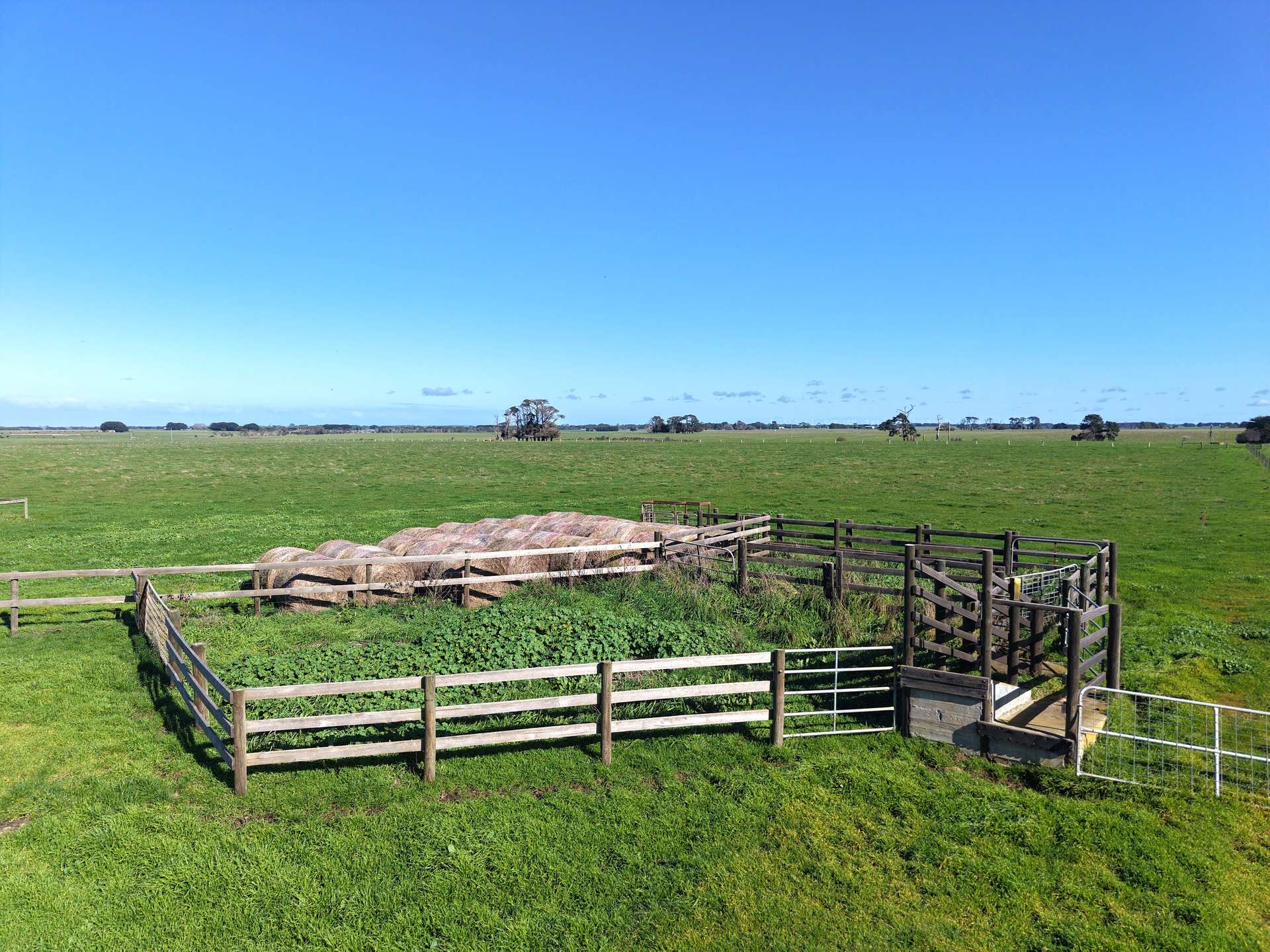 Nine Mile Creek Road, Koroit Auction by Farmbuy.com - image 8