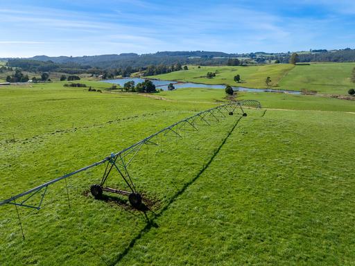 Farm For Sale - TAS - West Ridgley - 7321 - Three Titles, Significant Water & Quality Infrastructure 