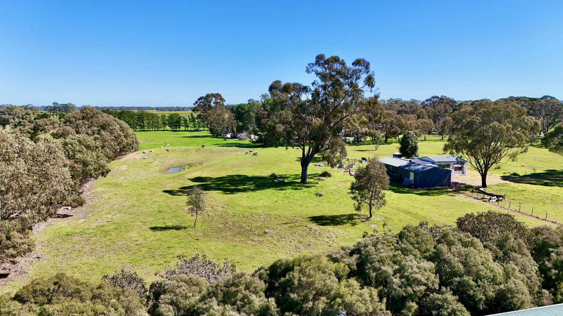 579 Rowney Road, Mundulla Auction by Farmbuy.com - image 19