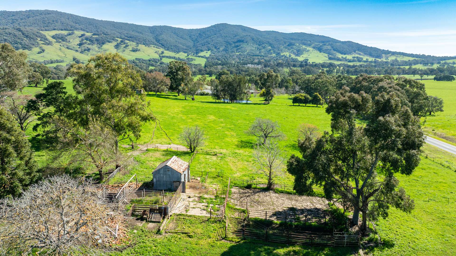 355 Lindsay Road, Staghorn Flat For Sale by Farmbuy.com - image 17