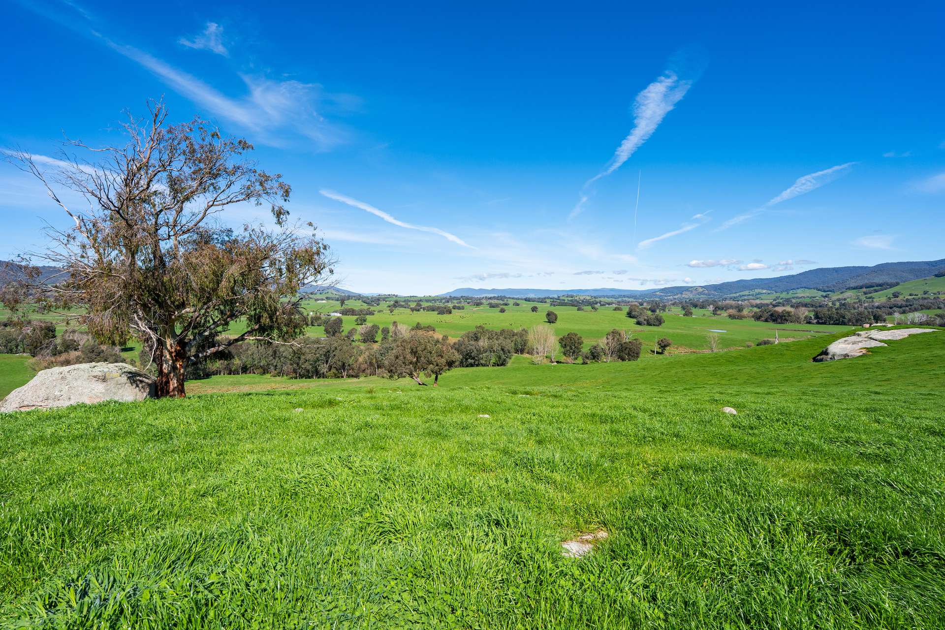 355 Lindsay Road, Staghorn Flat For Sale by Farmbuy.com - image 1