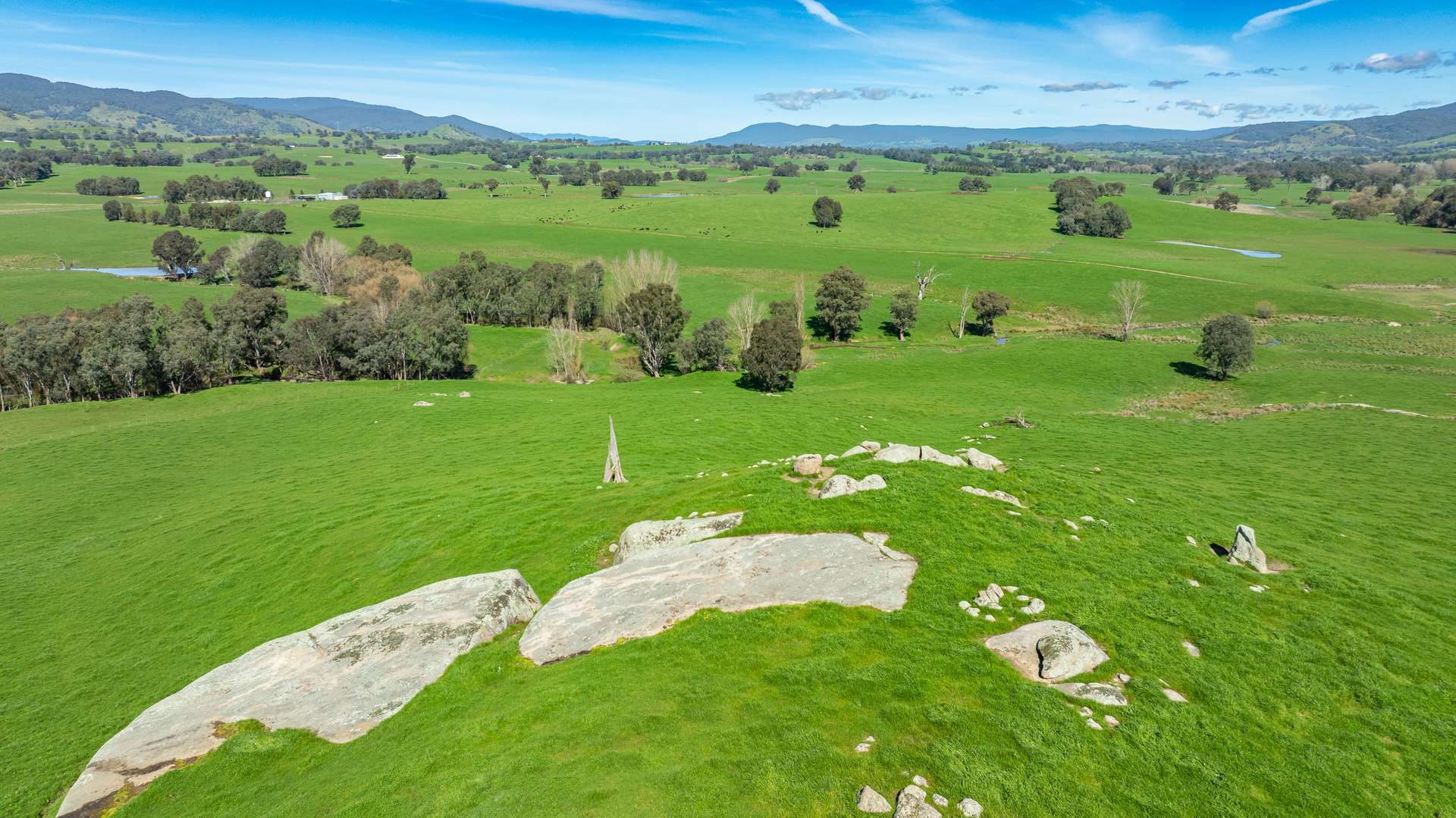 355 Lindsay Road, Staghorn Flat For Sale by Farmbuy.com - image 18