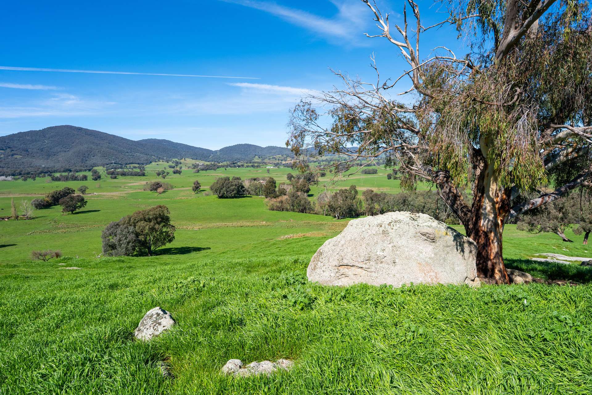 355 Lindsay Road, Staghorn Flat For Sale by Farmbuy.com - image 5