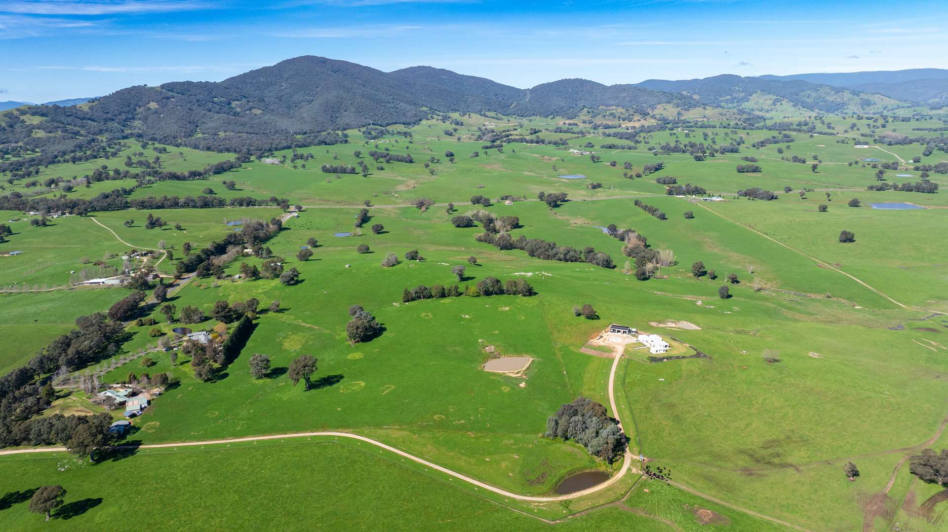 355 Lindsay Road, Staghorn Flat For Sale by Farmbuy.com - image 20