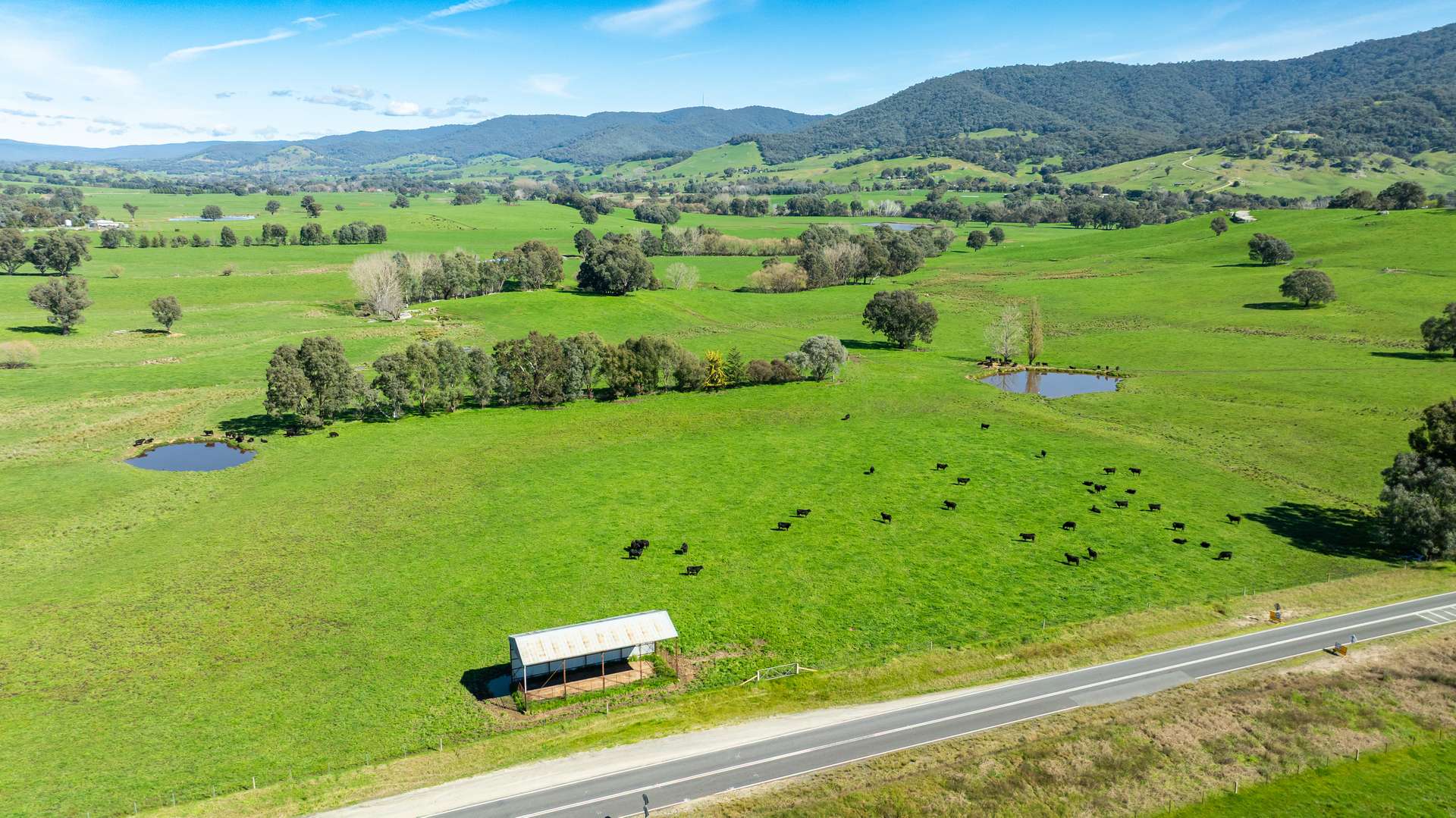 355 Lindsay Road, Staghorn Flat For Sale by Farmbuy.com - image 9