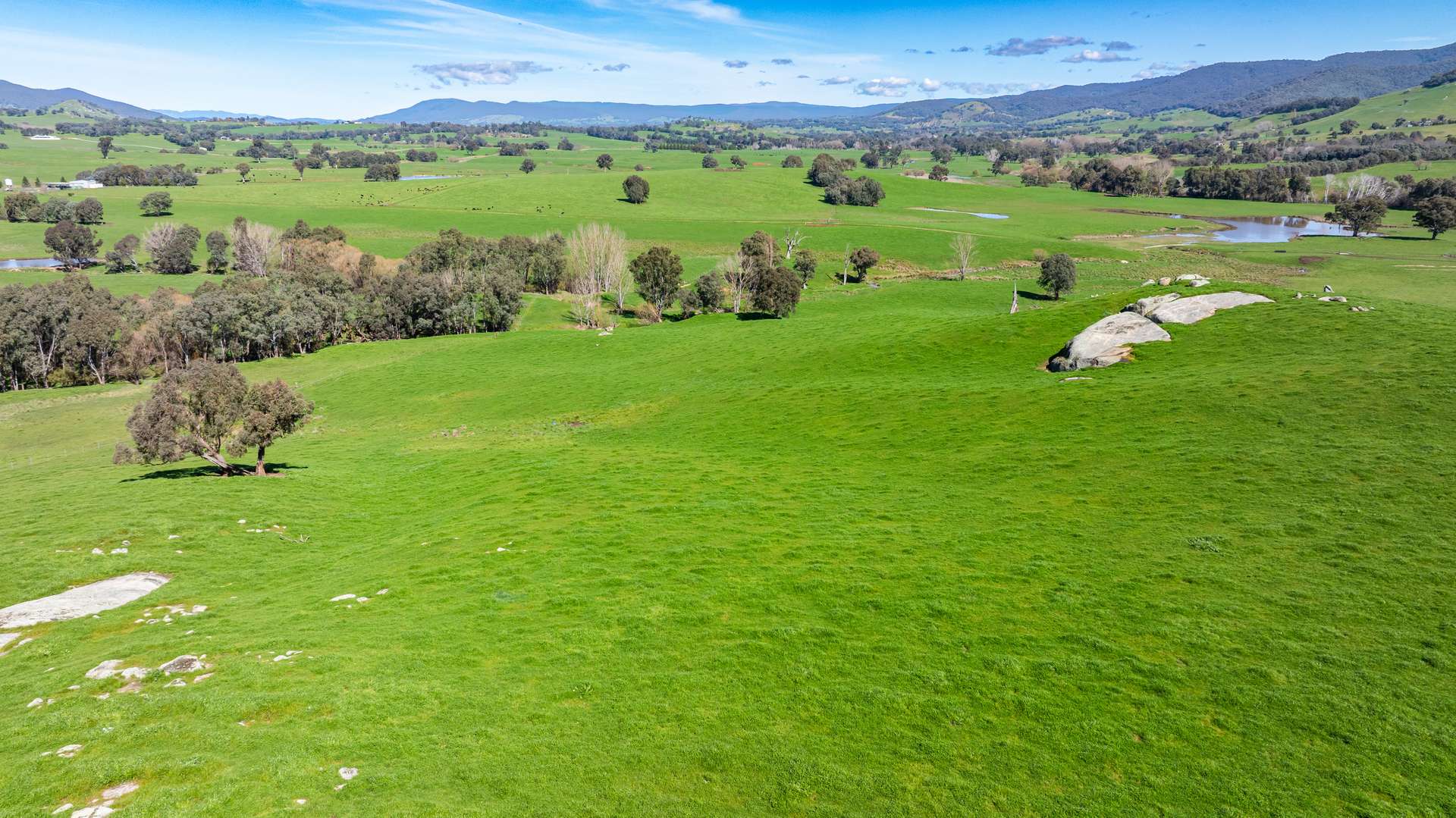 355 Lindsay Road, Staghorn Flat For Sale by Farmbuy.com - image 21