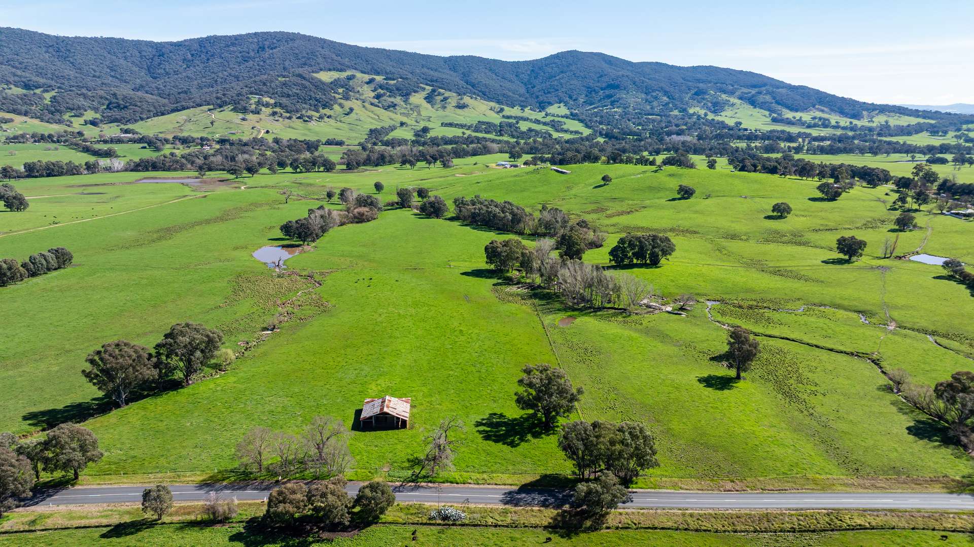 355 Lindsay Road, Staghorn Flat For Sale by Farmbuy.com - image 23