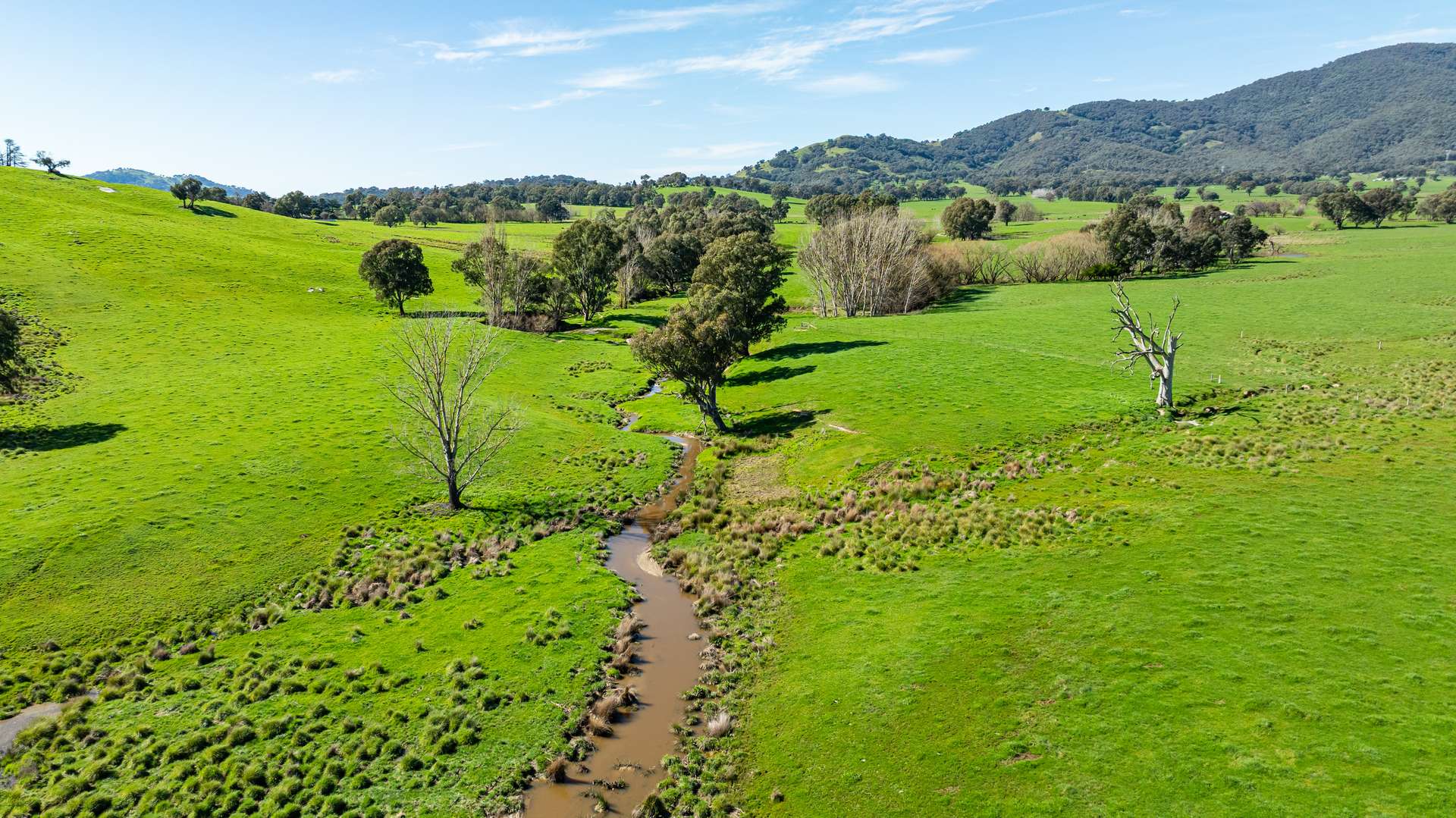 355 Lindsay Road, Staghorn Flat For Sale by Farmbuy.com - image 3