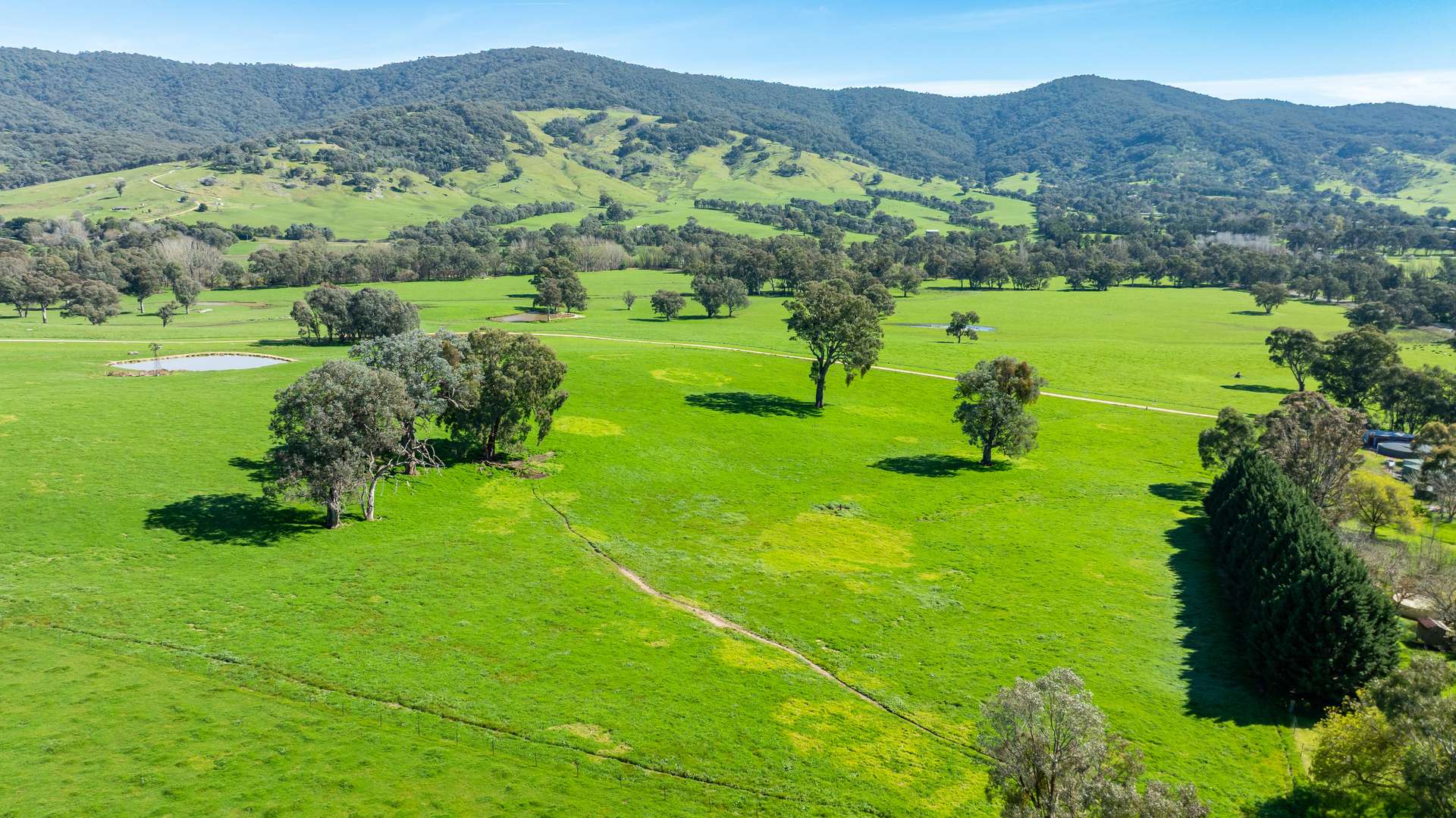 355 Lindsay Road, Staghorn Flat For Sale by Farmbuy.com - image 2
