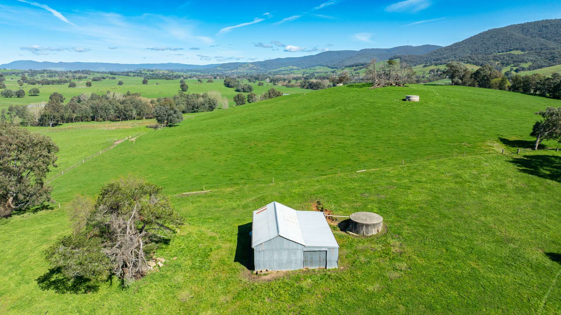 355 Lindsay Road, Staghorn Flat For Sale by Farmbuy.com - image 16