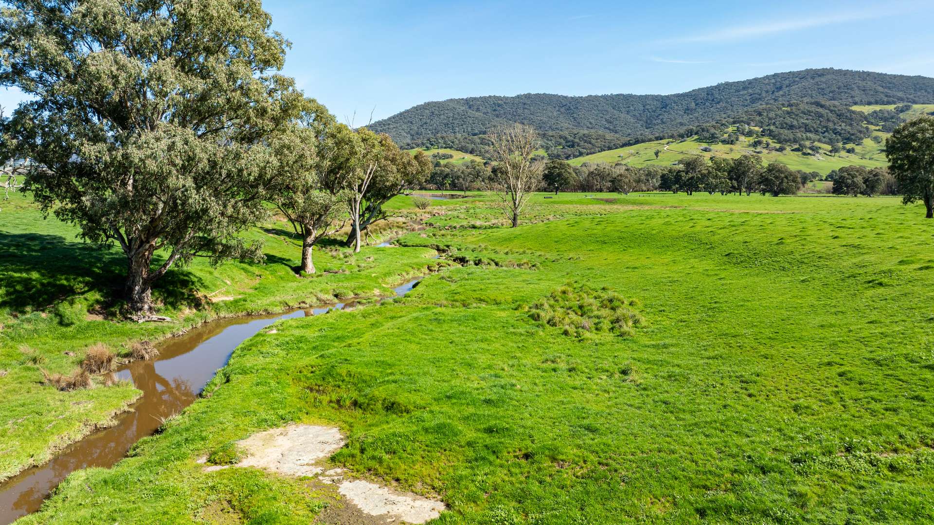 355 Lindsay Road, Staghorn Flat For Sale by Farmbuy.com - image 4