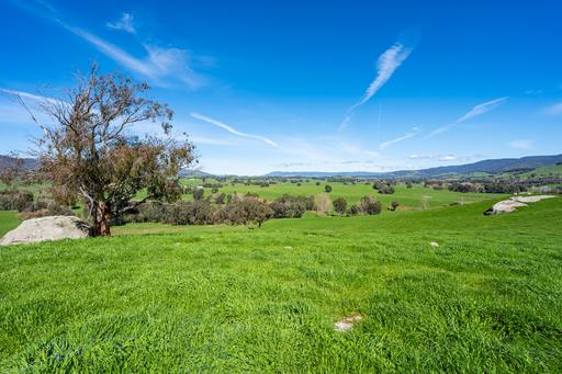 Farm For Sale - VIC - Staghorn Flat - 3691 - "Valley View" - Staghorn Flat 