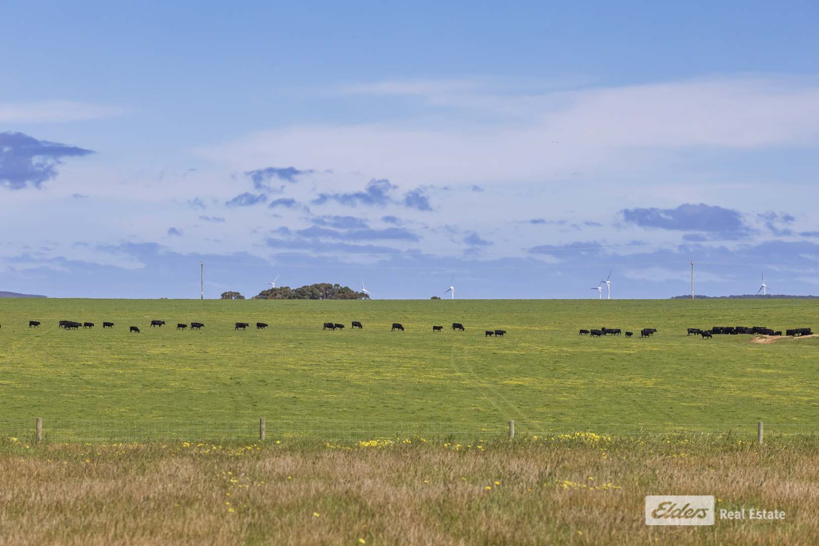 67 Minotaur Loop, Drome For Sale by Farmbuy.com - image 6