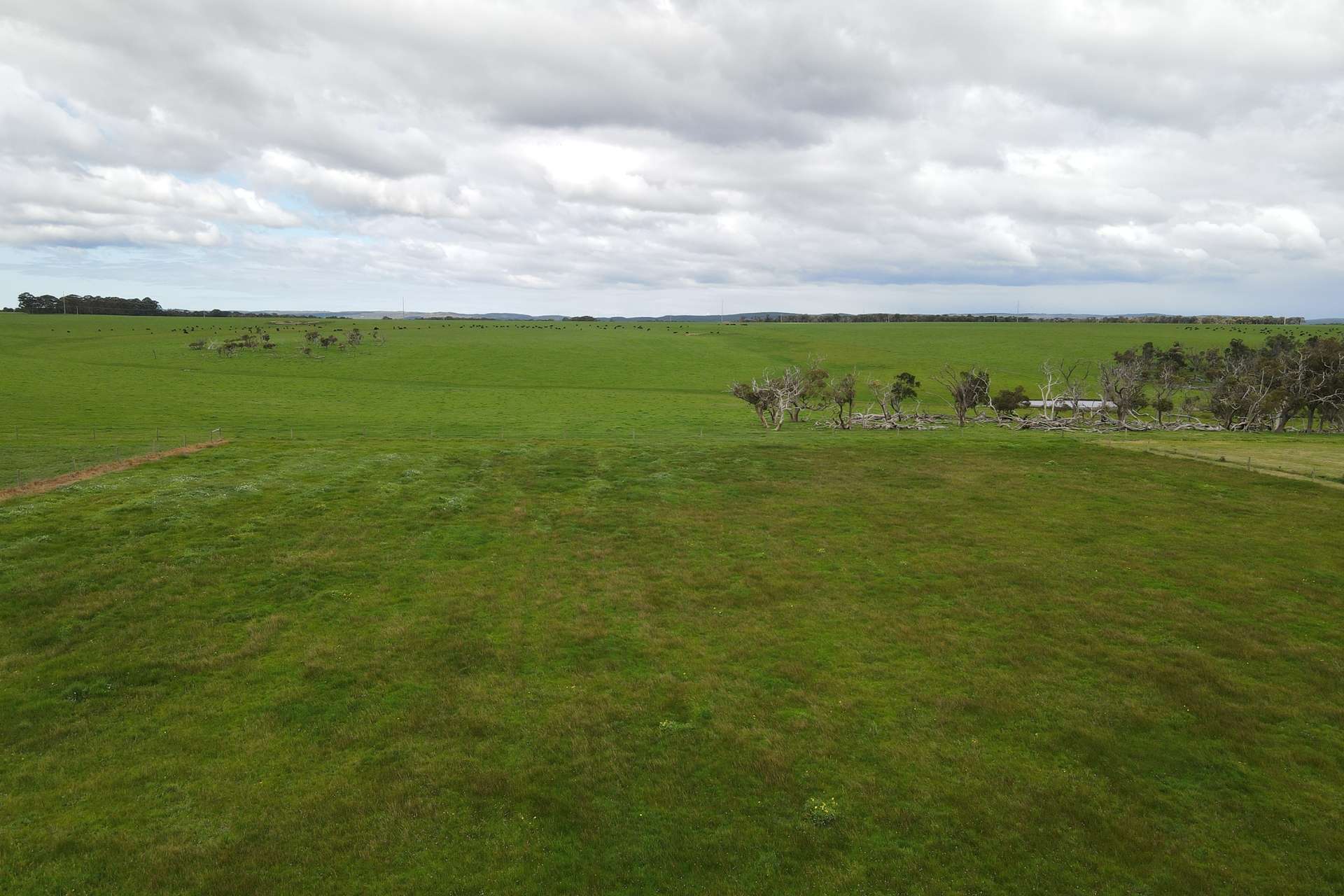 67 Minotaur Loop, Drome For Sale by Farmbuy.com - image 2