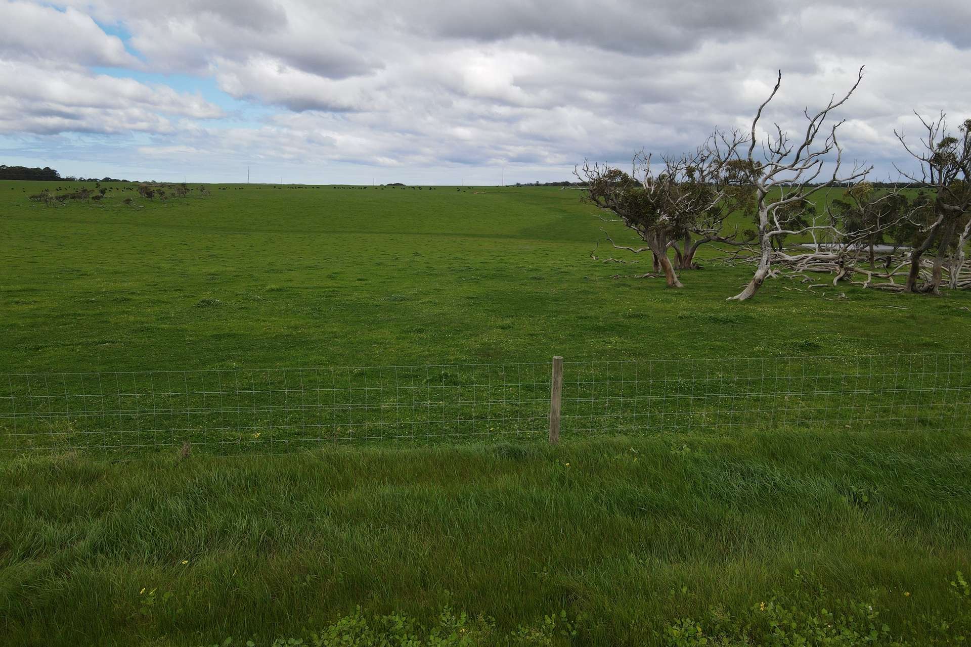67 Minotaur Loop, Drome For Sale by Farmbuy.com - image 4