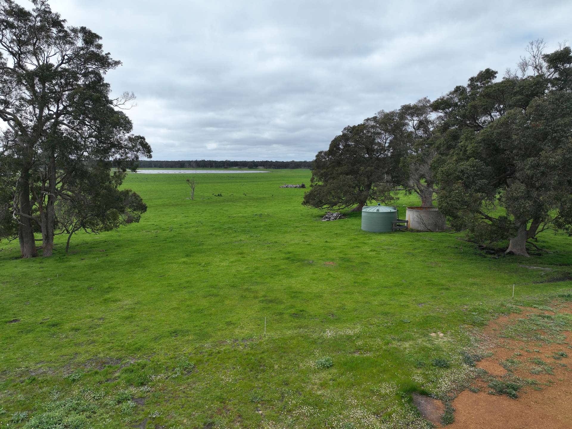 363 Morande Road, Narrikup For Sale by Farmbuy.com - image 4