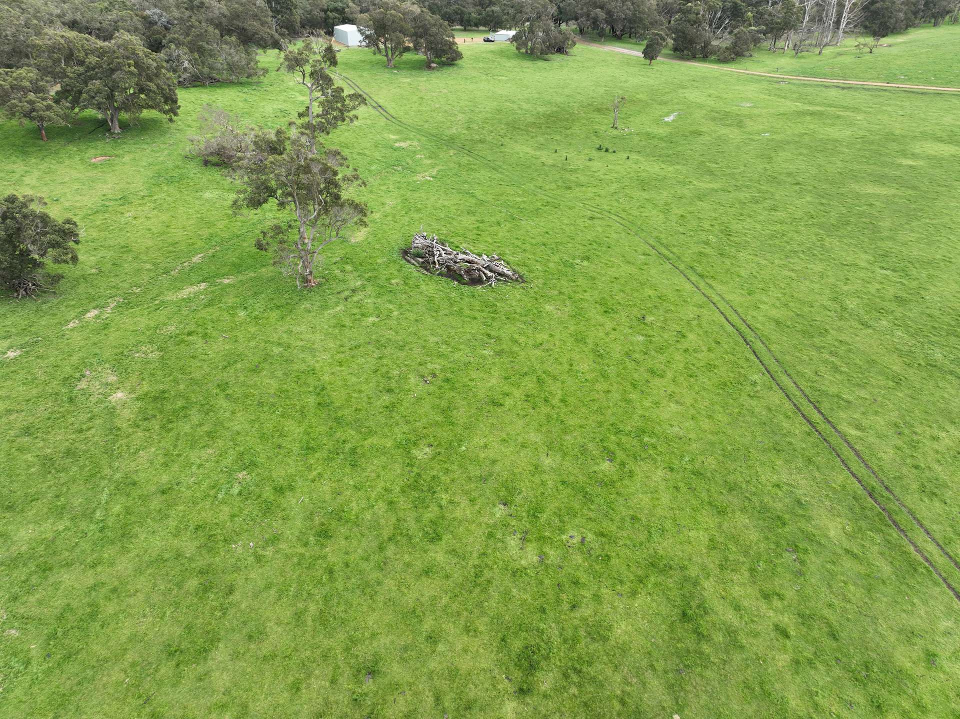 363 Morande Road, Narrikup For Sale by Farmbuy.com - image 19