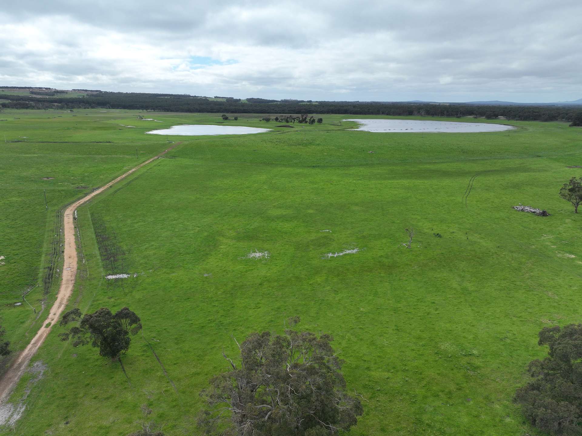 363 Morande Road, Narrikup For Sale by Farmbuy.com - image 7