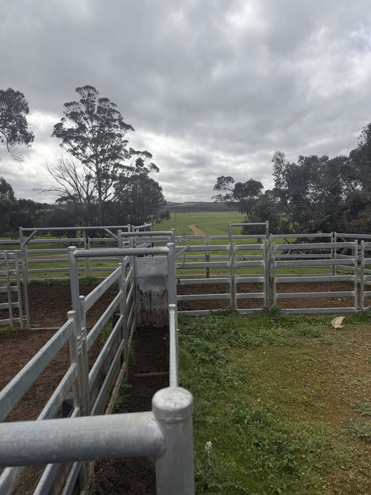 363 Morande Road, Narrikup For Sale by Farmbuy.com - image 23