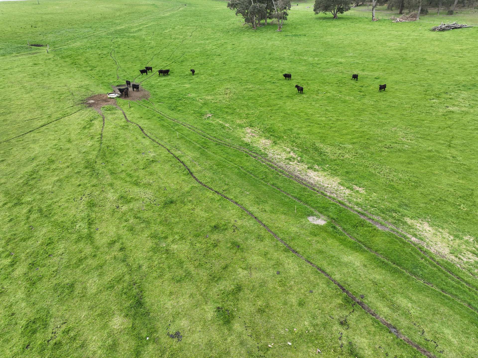 363 Morande Road, Narrikup For Sale by Farmbuy.com - image 15