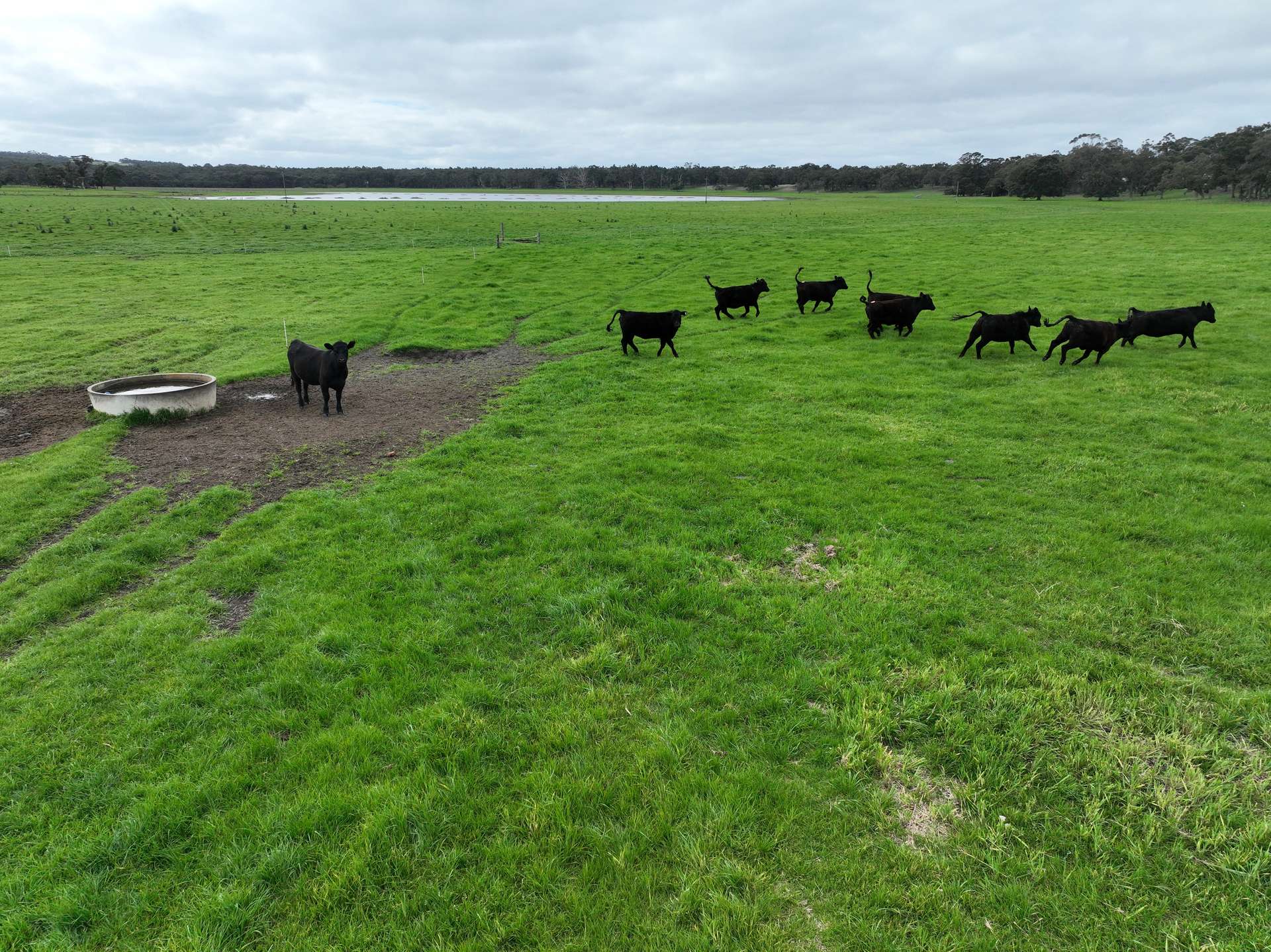 363 Morande Road, Narrikup For Sale by Farmbuy.com - image 5