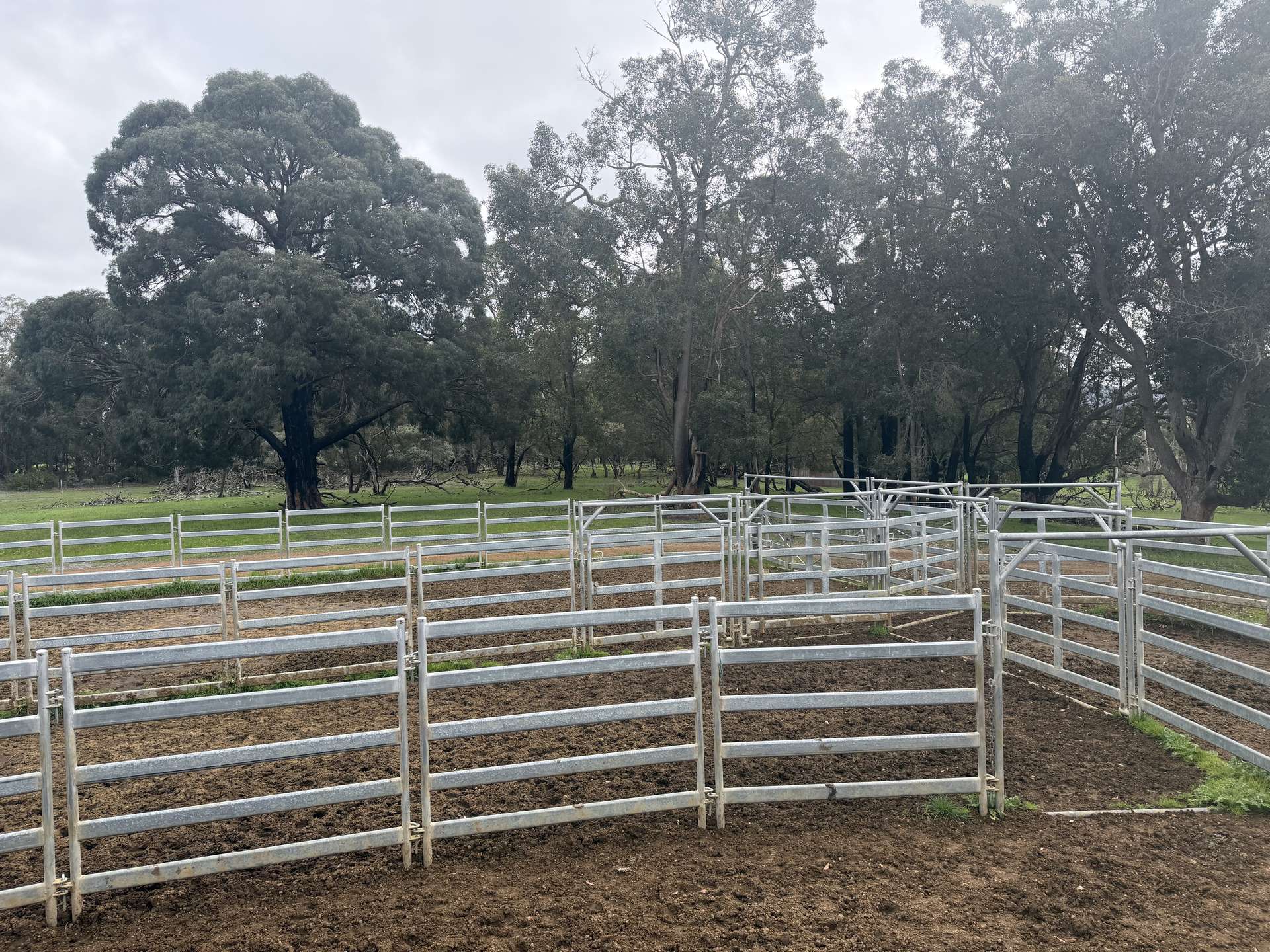 363 Morande Road, Narrikup For Sale by Farmbuy.com - image 22