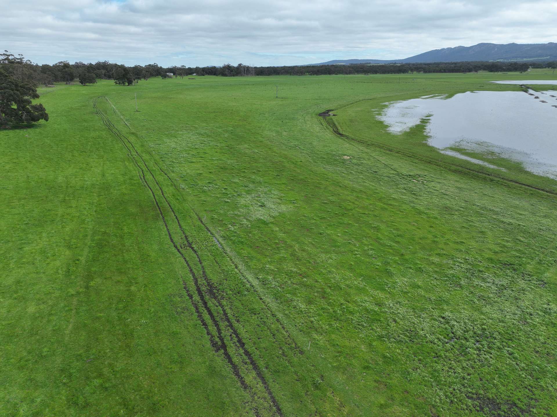 363 Morande Road, Narrikup For Sale by Farmbuy.com - image 18