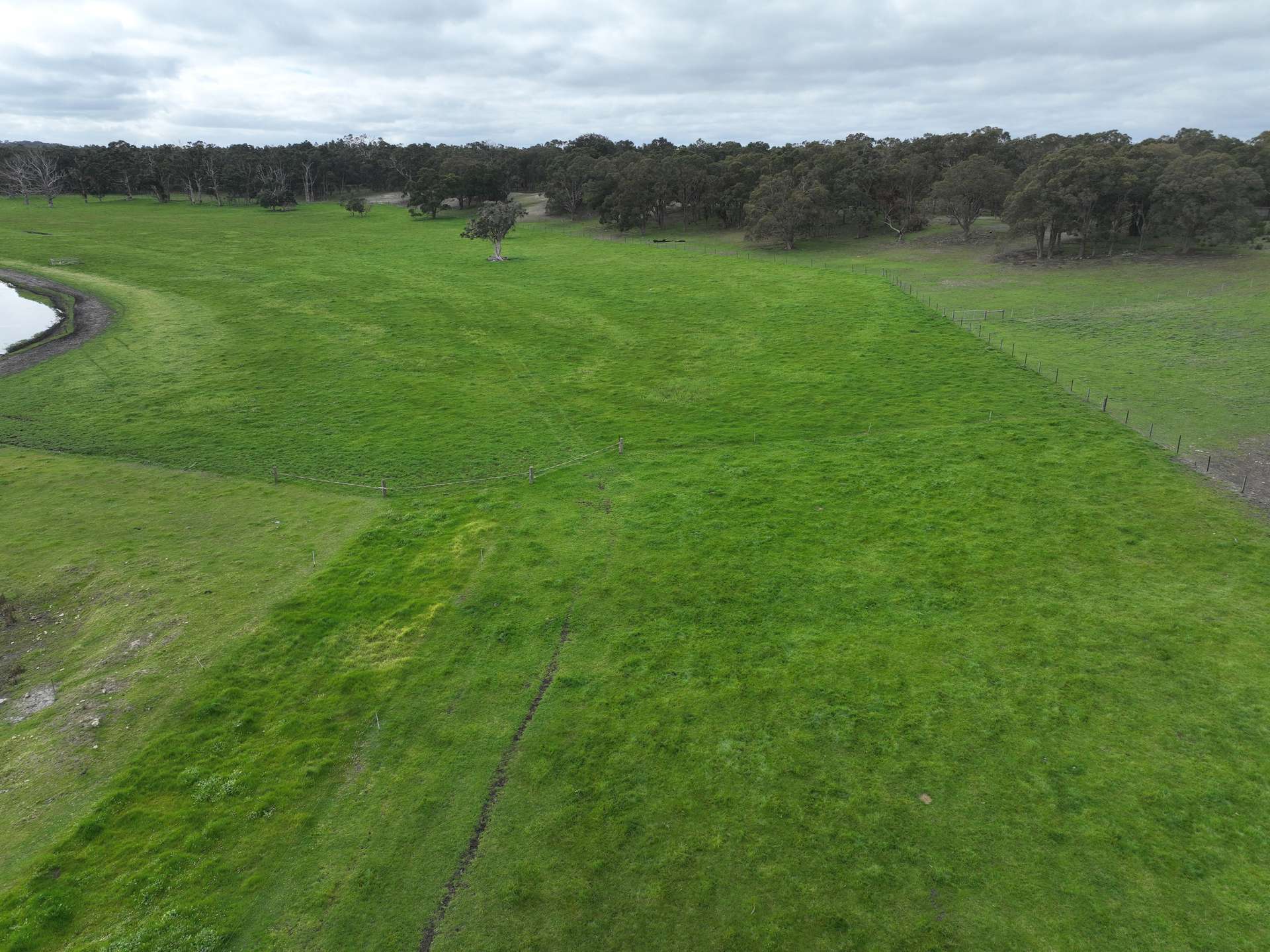 363 Morande Road, Narrikup For Sale by Farmbuy.com - image 17