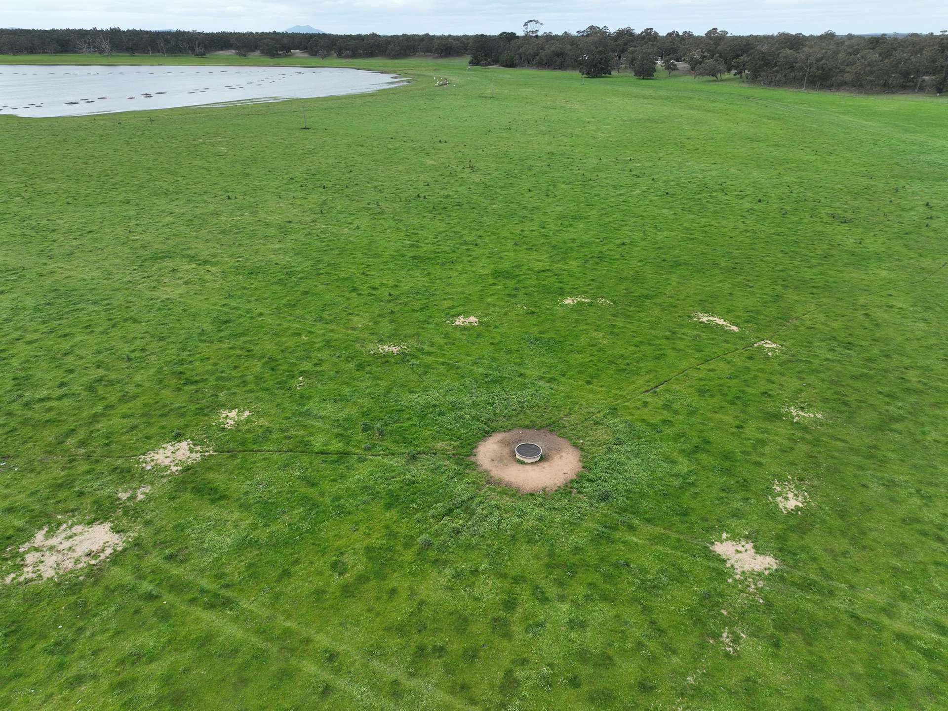 363 Morande Road, Narrikup For Sale by Farmbuy.com - image 9