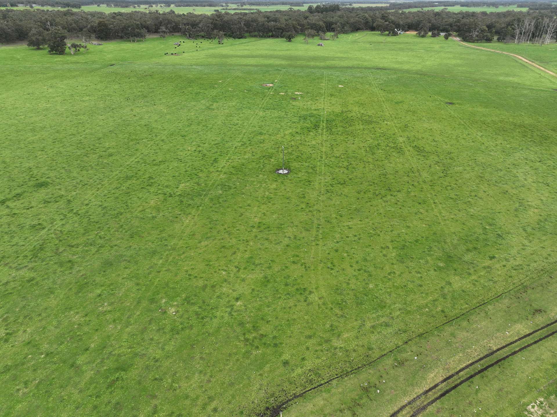 363 Morande Road, Narrikup For Sale by Farmbuy.com - image 6