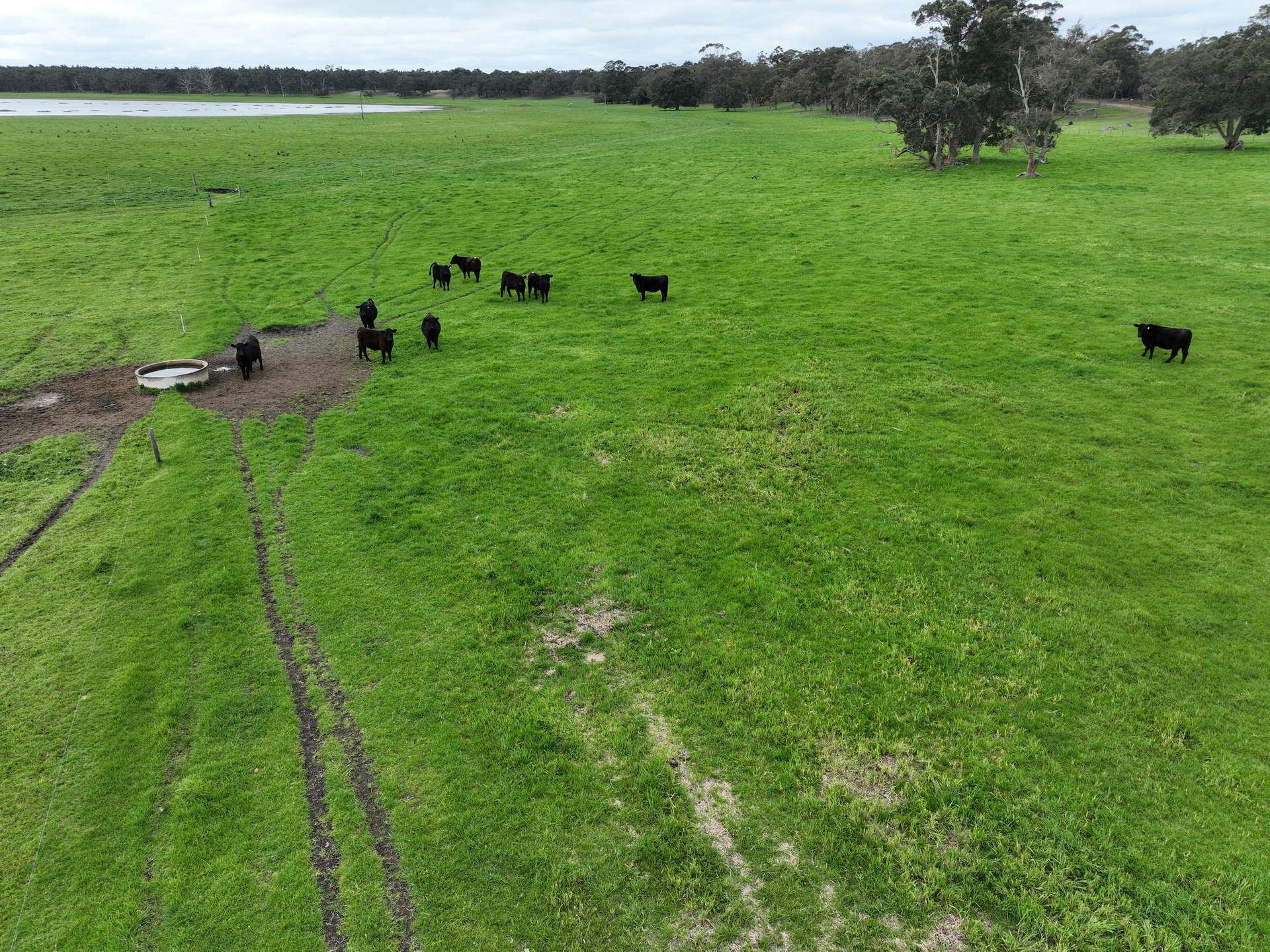 363 Morande Road, Narrikup For Sale by Farmbuy.com - image 10
