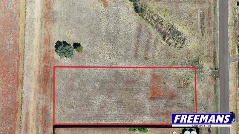 18-20 Prince Street, Memerambi For Sale by Farmbuy.com - image 7