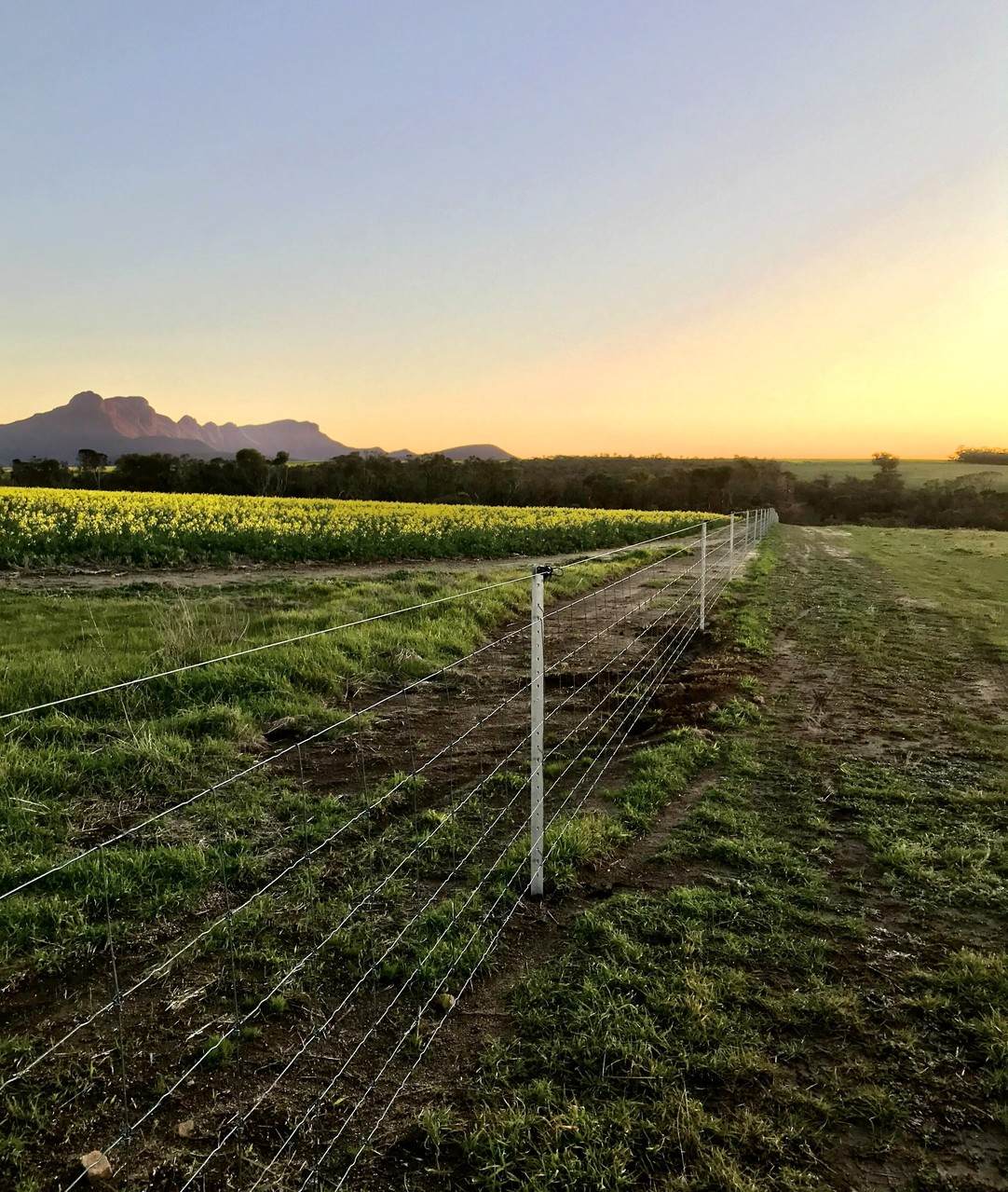1 Yungermere Road, Gnowellen For Sale by Farmbuy.com - image 23