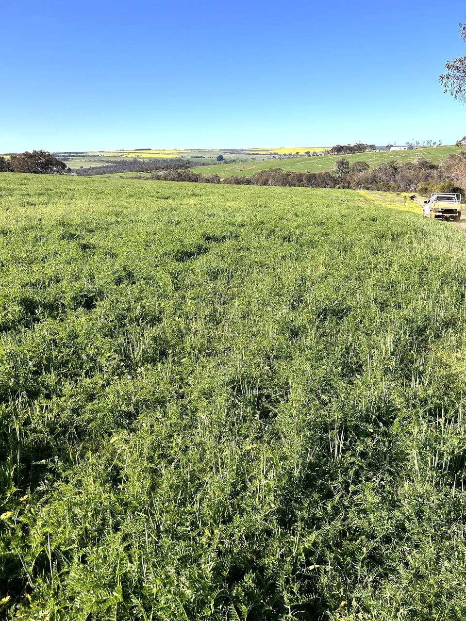 1 Yungermere Road, Gnowellen For Sale by Farmbuy.com - image 24