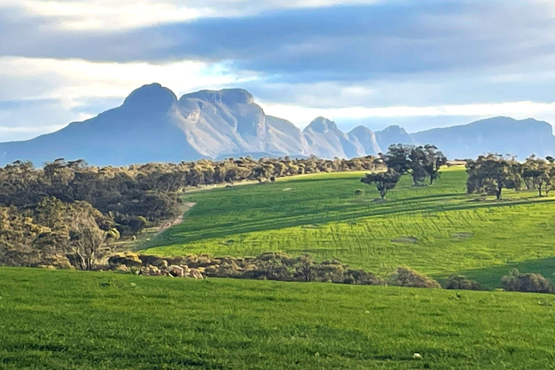 1 Yungermere Road, Gnowellen For Sale by Farmbuy.com - image 18