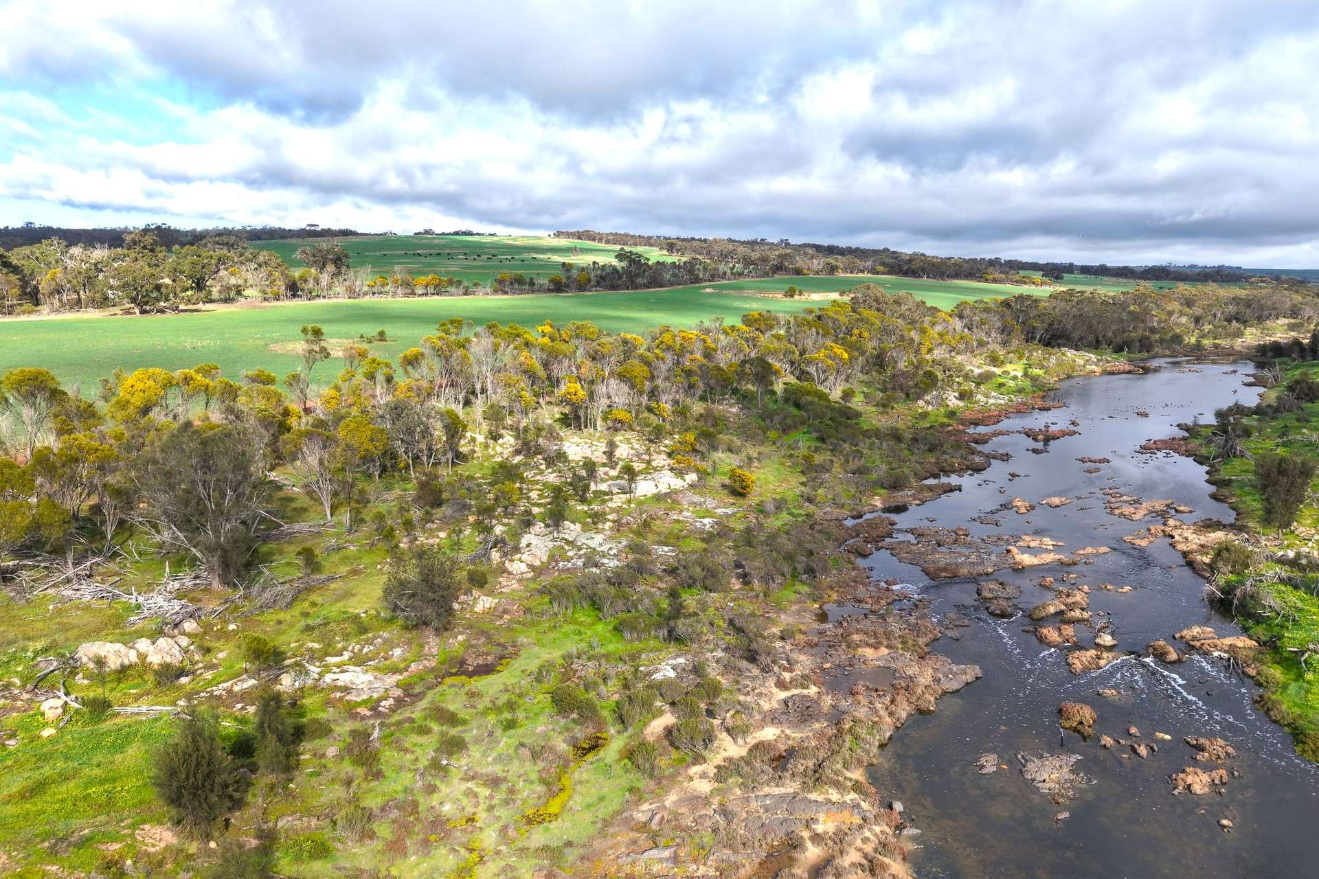 1 Yungermere Road, Gnowellen For Sale by Farmbuy.com - image 13