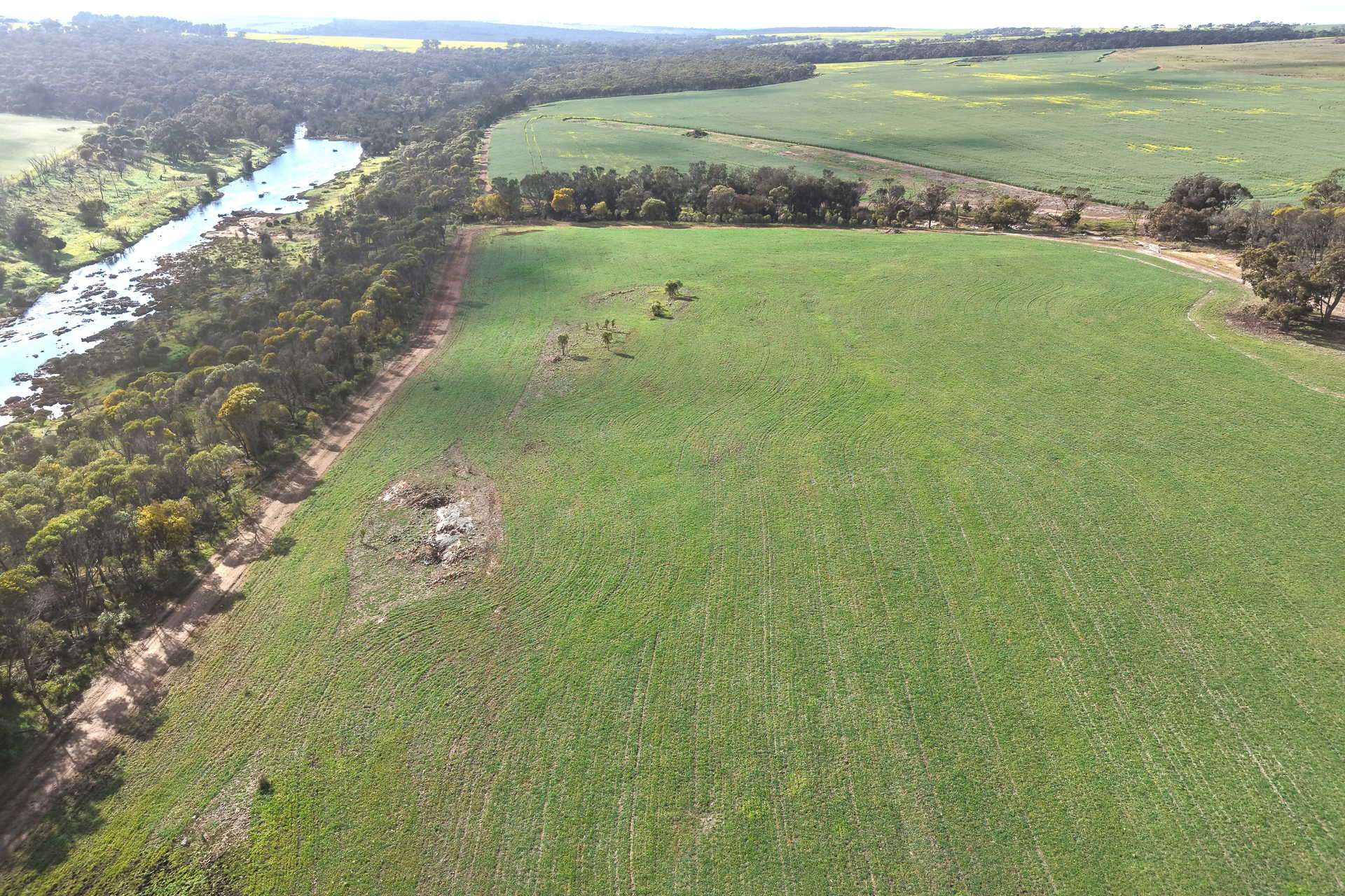 1 Yungermere Road, Gnowellen For Sale by Farmbuy.com - image 22