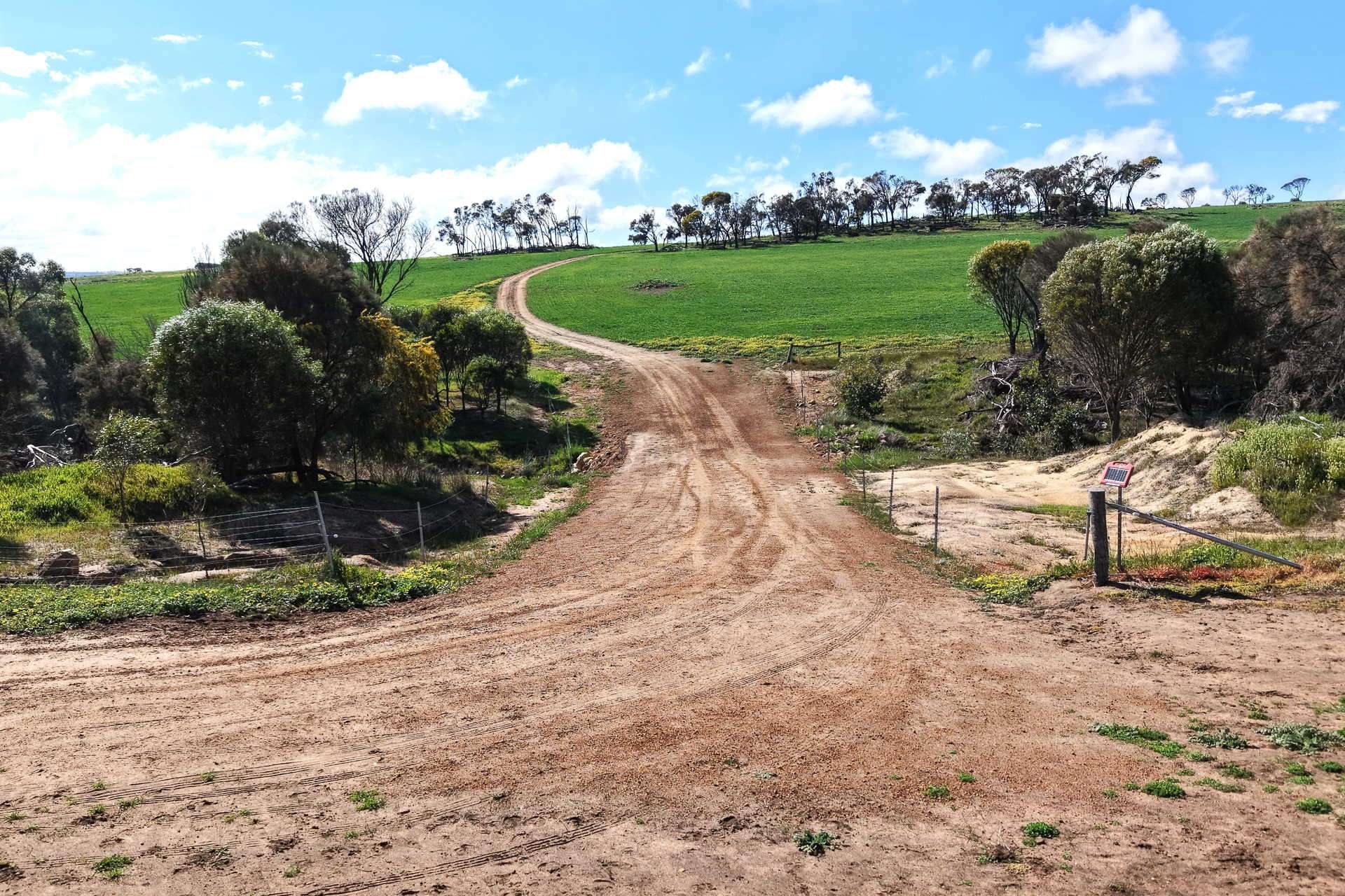 1 Yungermere Road, Gnowellen For Sale by Farmbuy.com - image 5