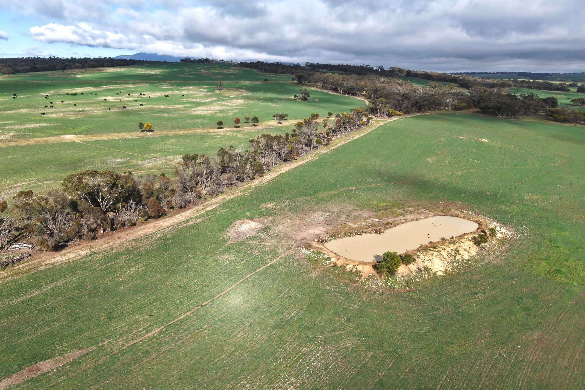 1 Yungermere Road, Gnowellen For Sale by Farmbuy.com - image 3