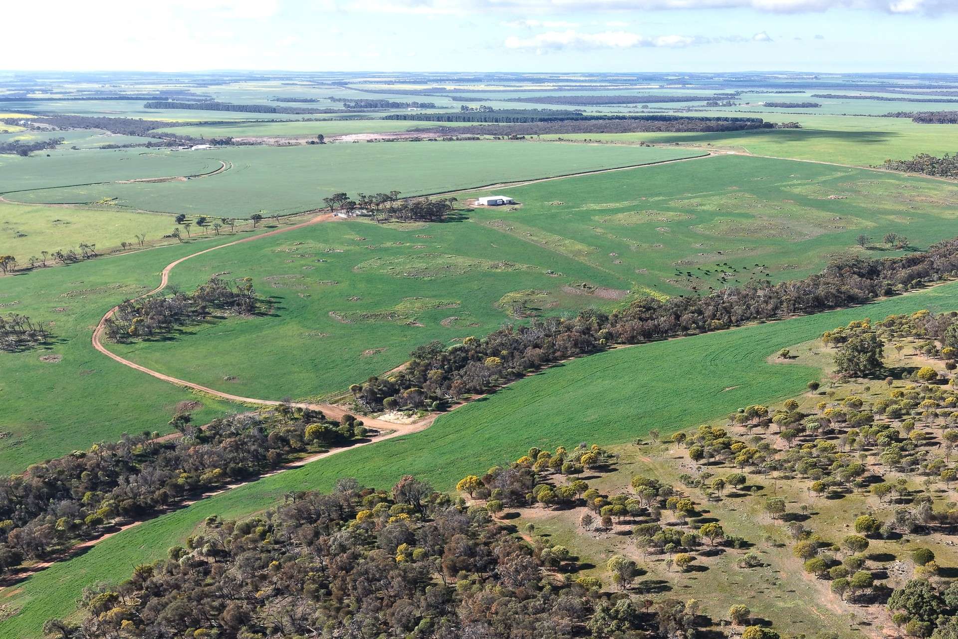 1 Yungermere Road, Gnowellen For Sale by Farmbuy.com - image 11