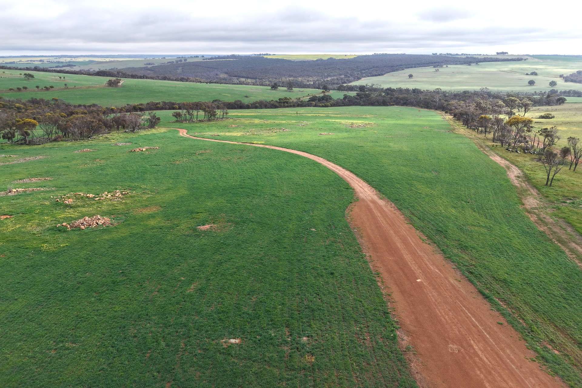 1 Yungermere Road, Gnowellen For Sale by Farmbuy.com - image 7