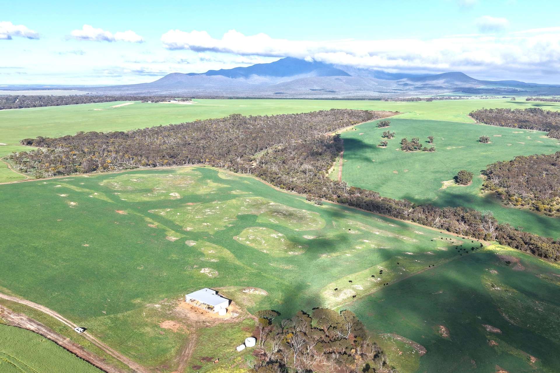 1 Yungermere Road, Gnowellen For Sale by Farmbuy.com - image 2