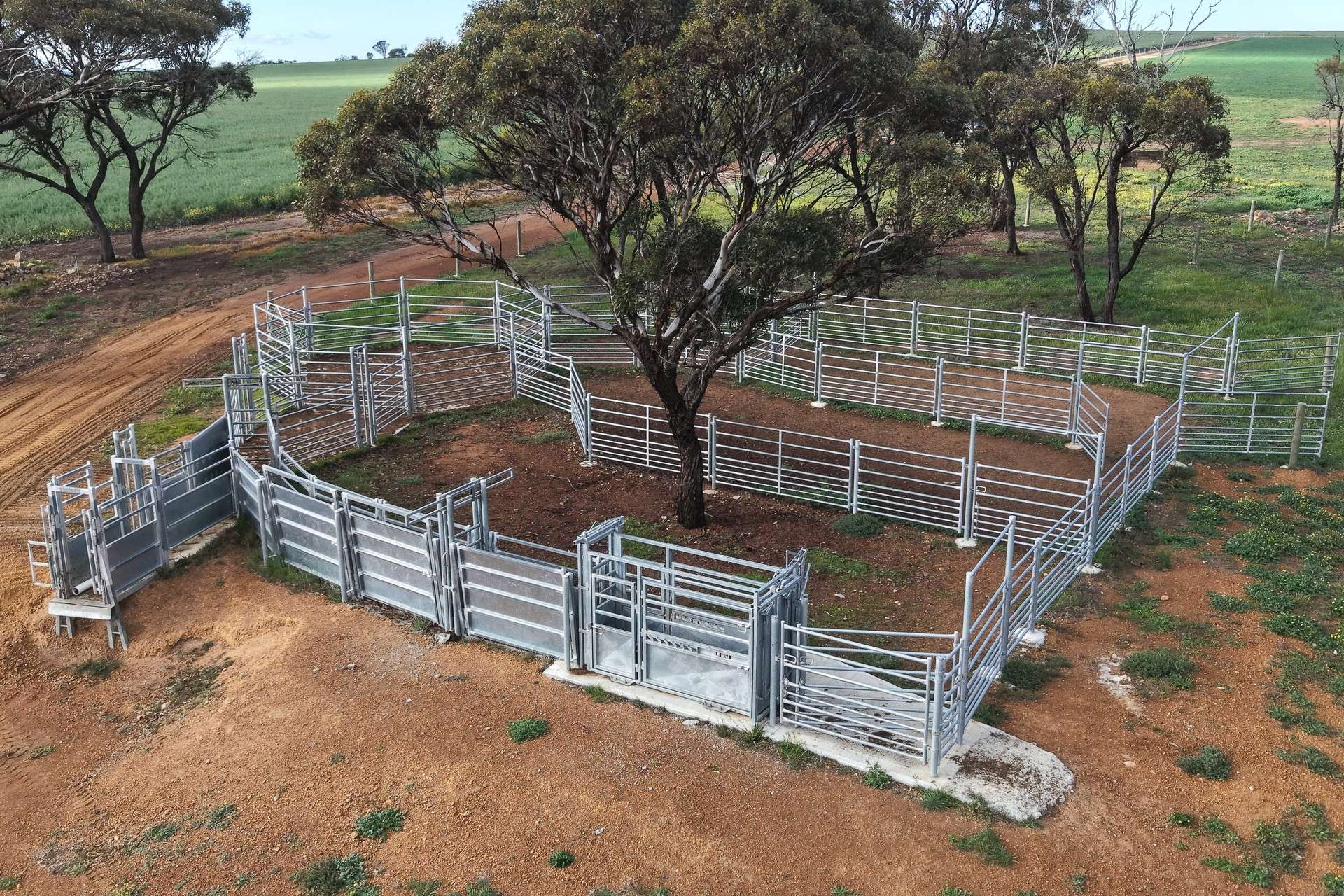1 Yungermere Road, Gnowellen For Sale by Farmbuy.com - image 6