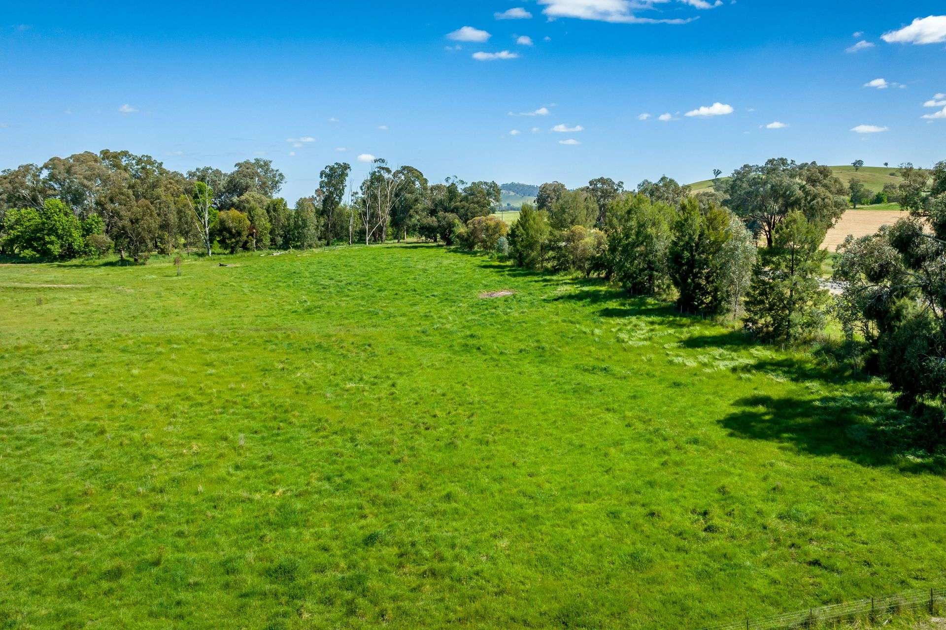 3223 Riverina Highway, Bungowannah For Sale by Farmbuy.com - image 4