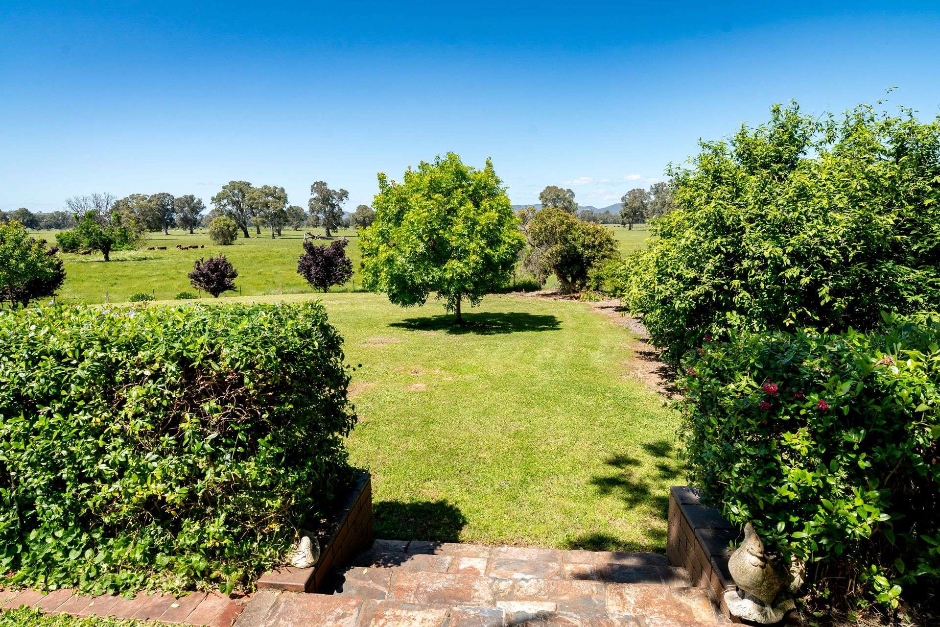 3223 Riverina Highway, Bungowannah For Sale by Farmbuy.com - image 26
